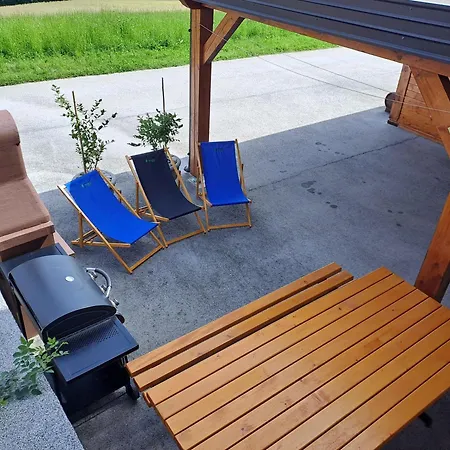 Apartments Jernej With Onsite Wellness Brezice Exterior photo